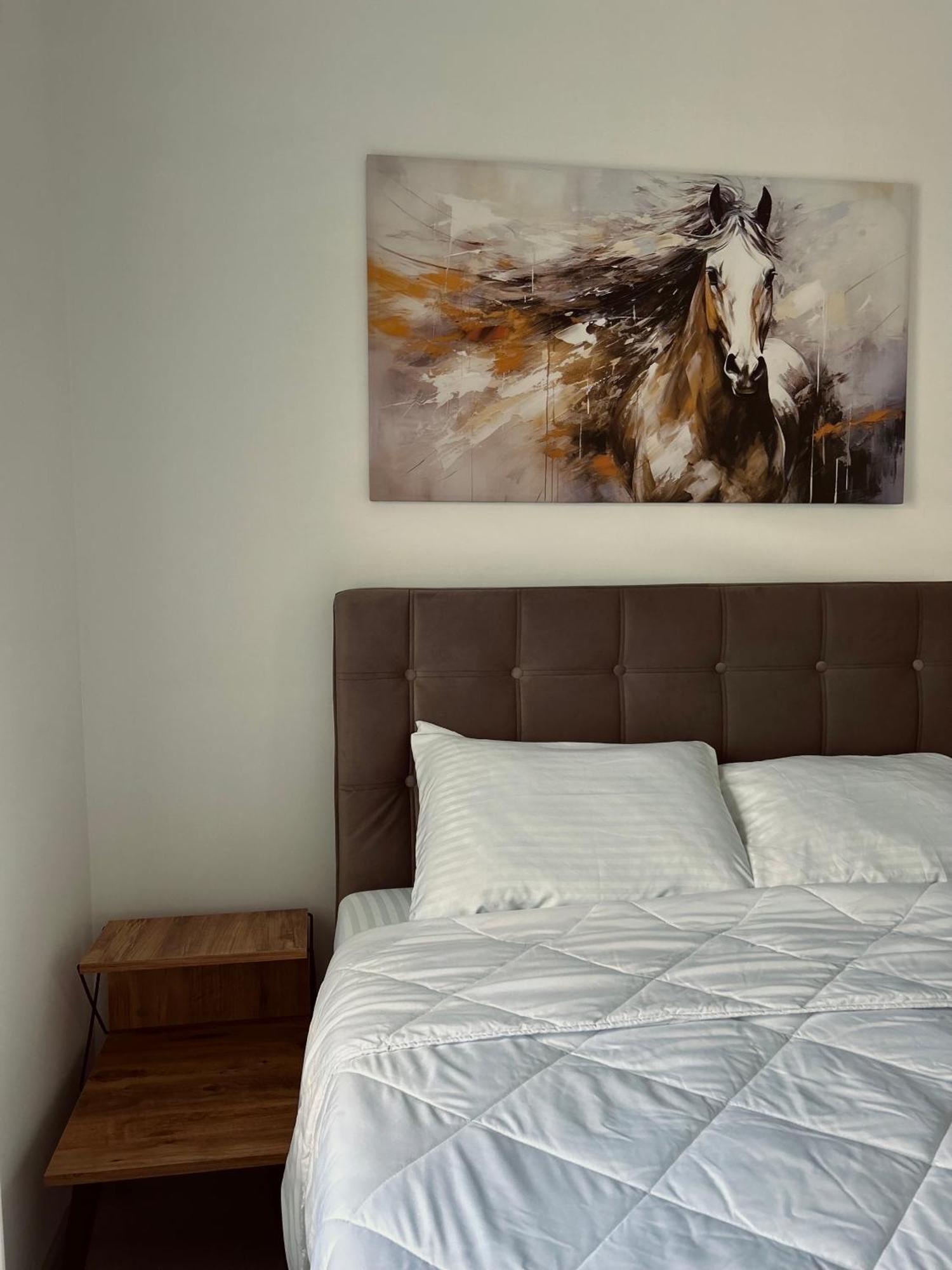 Greenhill Apartments Kumanovo Værelse billede